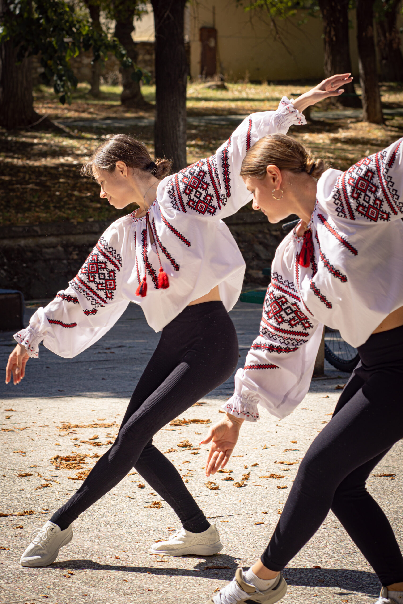 About Aurora Network DSC3247 Scaled