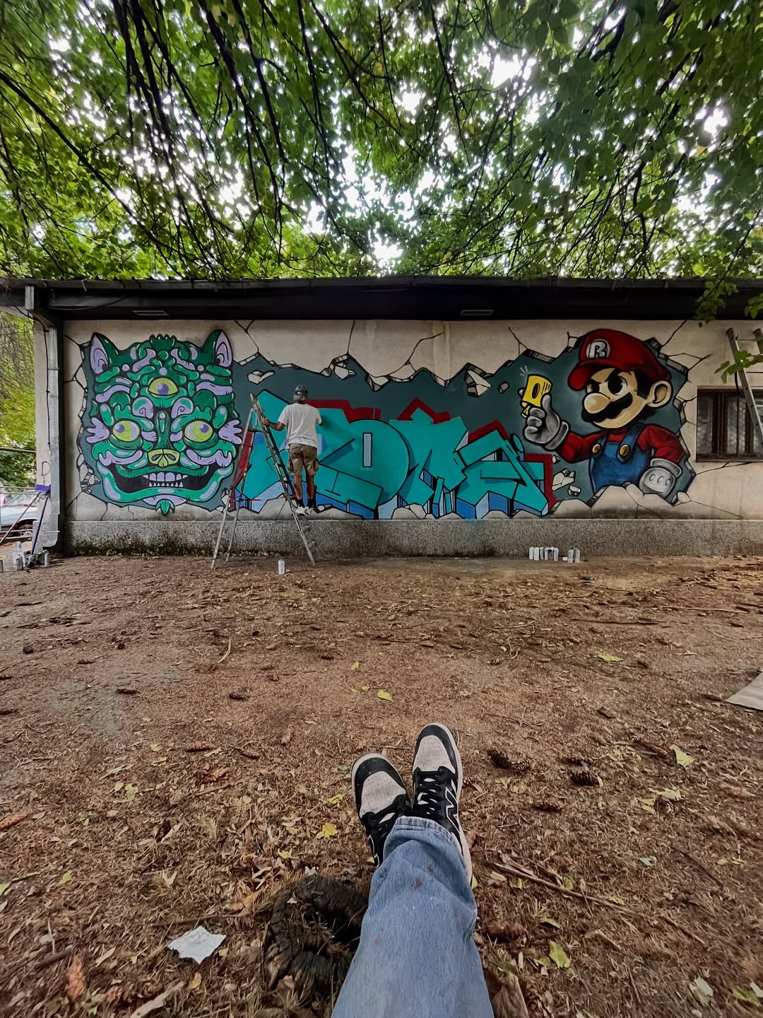 Walls to Bridges saveclip.app 557446941 17880349971402231 5308538887086714324 n