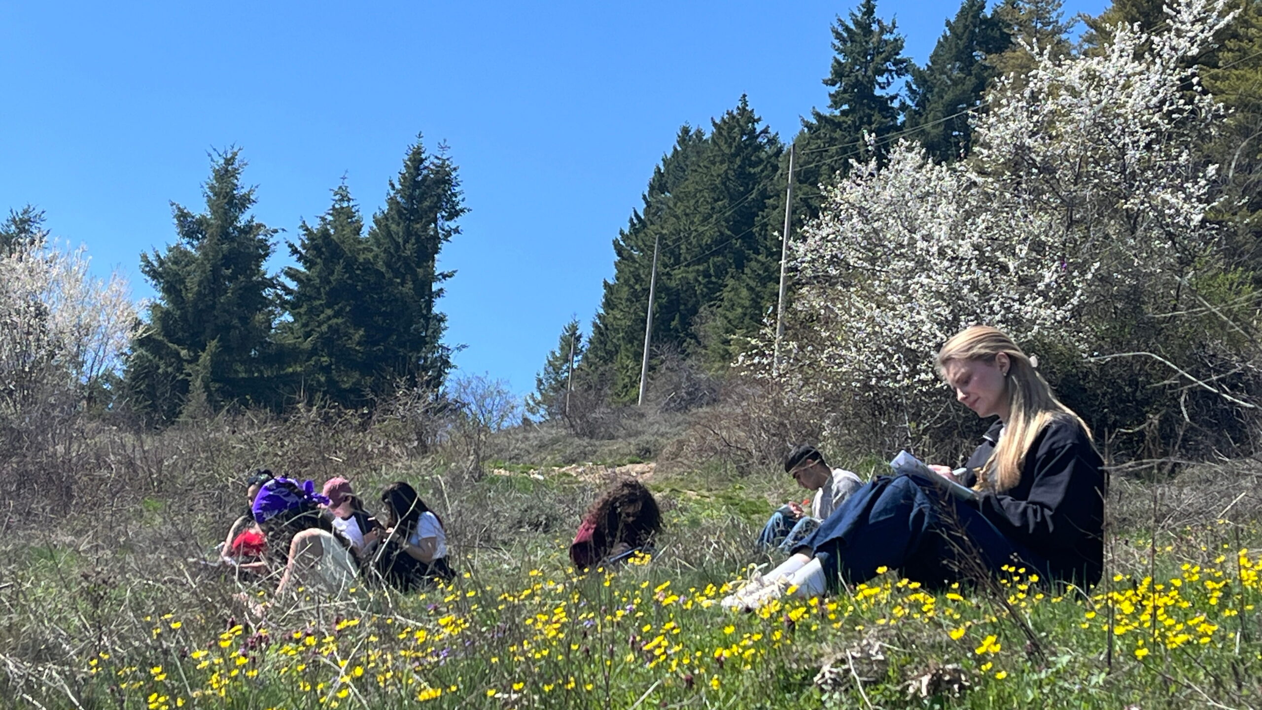Grounded Across Cultures: A Week of Nature and Well-being in Krushevo